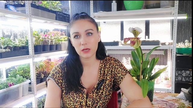 Где продавать свою рассаду? И как начать это делать? смотреть онлайн