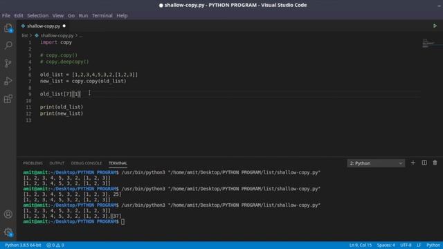 Shallow Copy vs Deep Copy | Python in Hindi | Part-12 смотреть онлайн