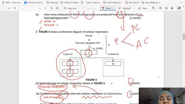C5 : Cellular Respiration Exercise Discussion смотреть онлайн