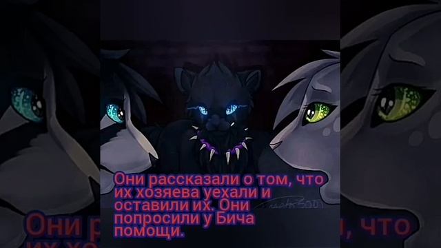 История Бича( Крошки.) Коты - Воители. смотреть онлайн