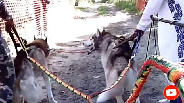 Как работает композитная велоудочка Dervish смотреть онлайн