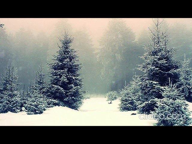 с понедельника на среду - НК смотреть онлайн