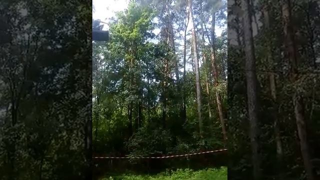 джунгли парк гродно трасса экстрим смотреть онлайн