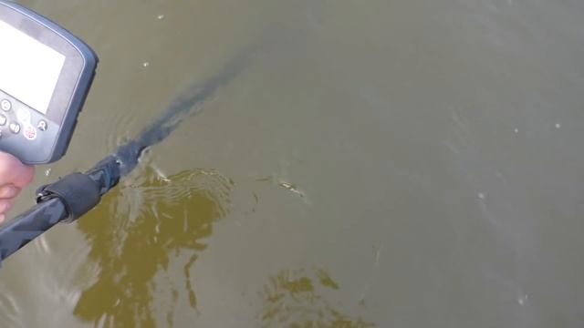 Что можно найти на пляже? Обследуем дно. смотреть онлайн