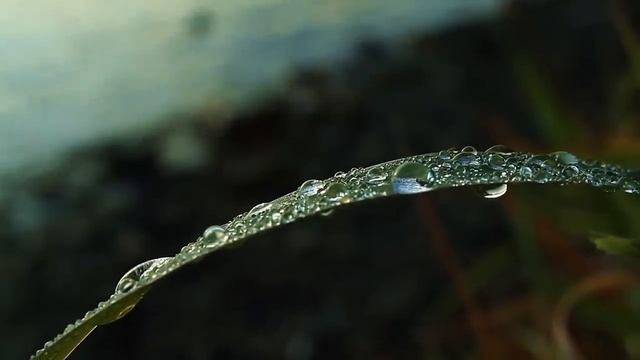 1 Hour Relaxing Music to Concentrate, Relaxing and Power naps - Deep Ambient music смотреть онлайн