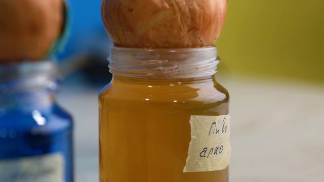 В какой ЖИДКОСТИ ЛУК ПРОРАСТЕТ ЛУЧШЕ.?! смотреть онлайн