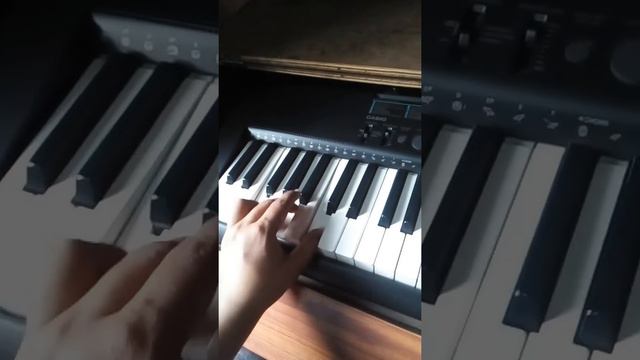 Vlog Casio ctk 1200 keyboard demonstration pratanu Banerjee смотреть онлайн