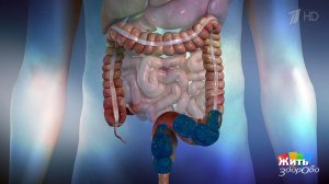 Выходит, что не выходит: запоры. Жить здорово! Фрагмент выпуска от 25.06.2018