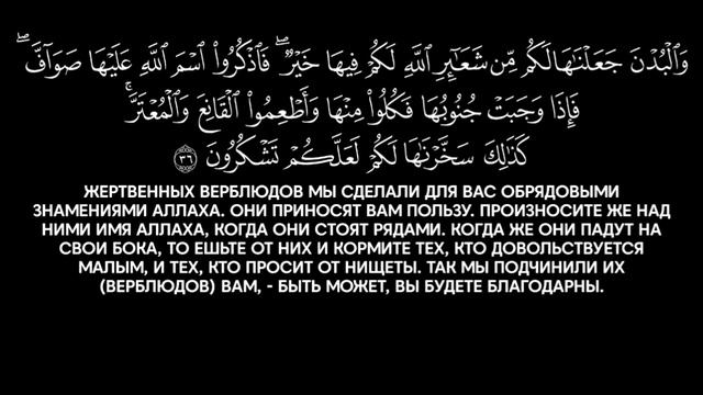 Ясир аль Даусари | Сура аль Хадж. С переводом. 1425 г. смотреть онлайн