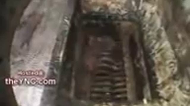 Колбаса завод Тошкент смотреть онлайн