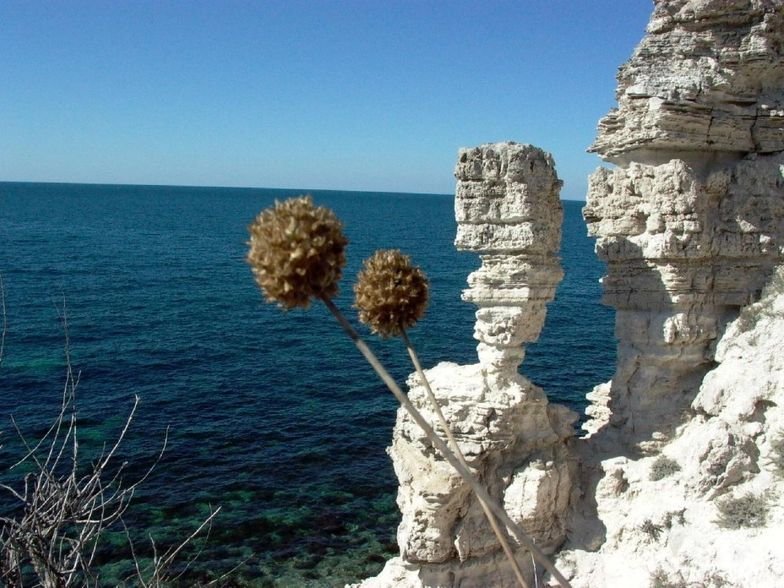 Тарханкут поэтический