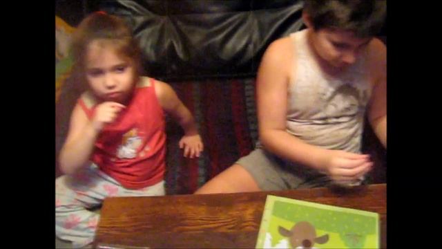 Сова.Owl. смотреть онлайн