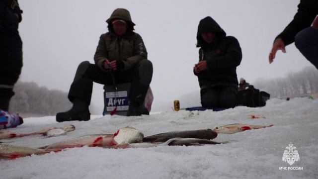 Вышел на лед - заплати штраф. С 15 марта в регионе действует запрет. 14.03.2024 смотреть онлайн