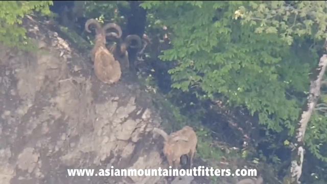 Hunting Azerbaijan for Dagestan Tur смотреть онлайн