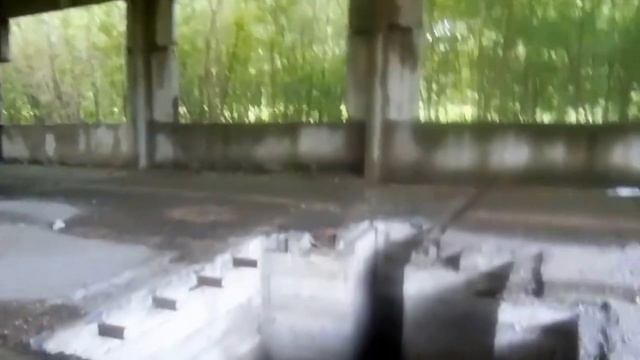 Сталк с Бродягой и Долгом #1 