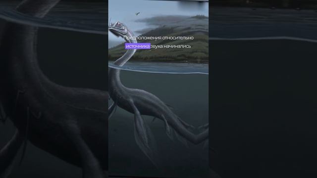 Тайна тихого океана раскрыта спустя столько времени #history #история #интересно #факты смотреть онлайн