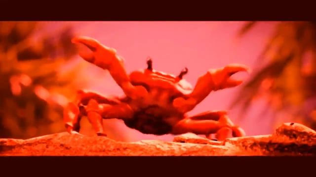 [EXTREME BASS BOOST] Noisestorm - Crab Rave (Monstercat Release) смотреть онлайн