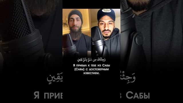 Сура: Ан-Намль (Муравьи)❤Чтецы: Билал Дарбали и Мухаммад Дибиров❤Красивое чтение Корана смотреть онлайн
