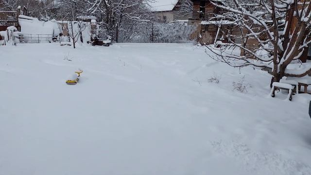 17 января 2024 года смотреть онлайн