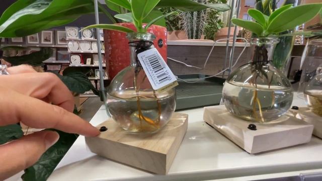 Светильник из живых цветов. Идея дизайна своими руками. смотреть онлайн