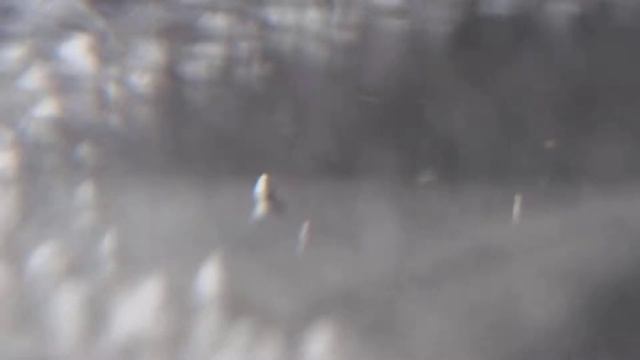 Редкие кадры с поверхности чайника смотреть онлайн