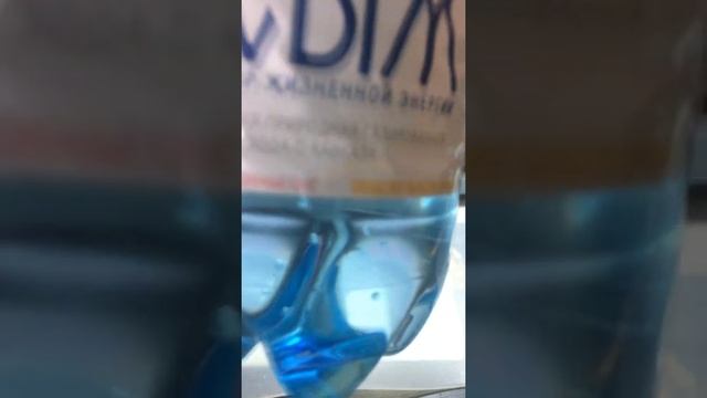 псыж (кто напишет плохой комментарий под этим видео, тот Иван-дурак) смотреть онлайн