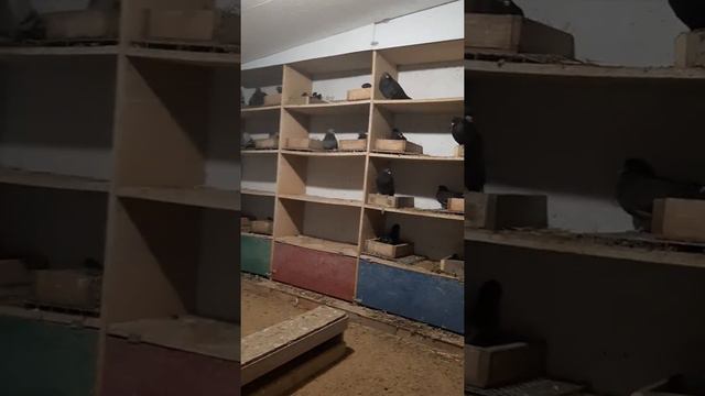 мой маточник смотреть онлайн