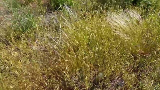 Поиски металла на мотовелосипеде на обочине . смотреть онлайн