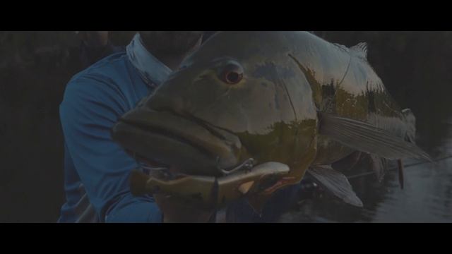 Big Baits in the Jungle pt 2: FangGiant смотреть онлайн