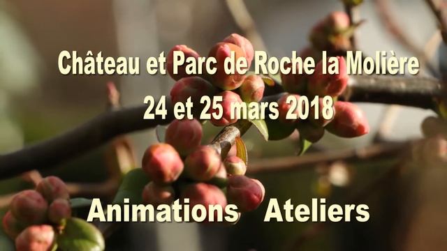 Le printemps des fleurs Roche la Molière 24 et 25 mars 2018 смотреть онлайн