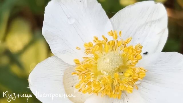 14 мая День Еремея. Что нельзя делать 14 мая. Народные традиции и приметы. смотреть онлайн