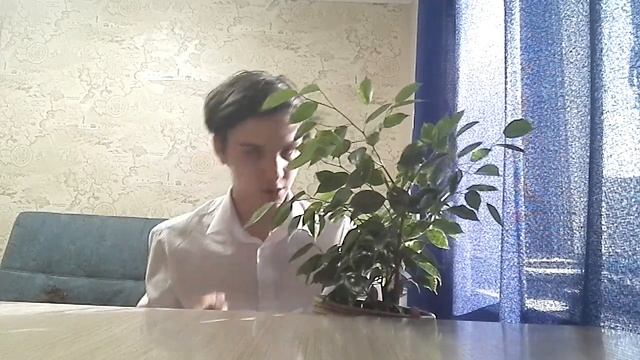 Дикий Дуб - Сосна. Как выращивать. смотреть онлайн