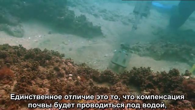 Портативный металлоискатель CEIA / подводный (CEIA CMD/DW) смотреть онлайн