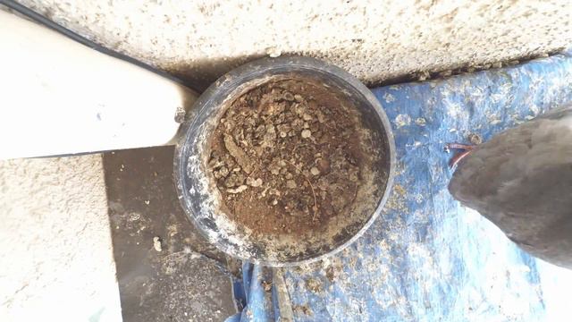 YI Action Camera - Photo Time-Lapse of Pigeon Hatching Eggs - Day 50 - Angle - 2 смотреть онлайн