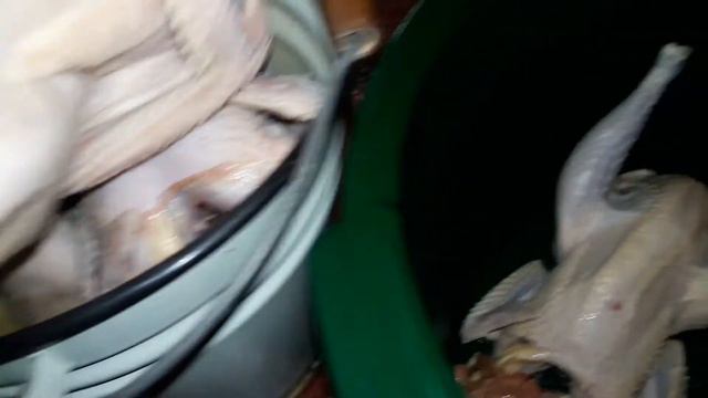 Твоя ошибка, год на смарку//Петухи на племя смотреть онлайн