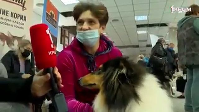 КАНЕ КОРСО КРЫМ. ЗИМНЯЯ ВЫСТАВКА смотреть онлайн