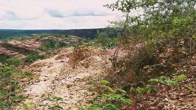 CAÇA ao OURO com GOLD MONSTER 1000! Caçada completa. vídeo 2/4! LOCAL TOP. смотреть онлайн