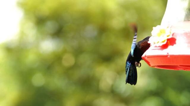 Лечебная музыка для сердца и сосудов ? Музыка для глубокого сна и расслабления для души смотреть онлайн