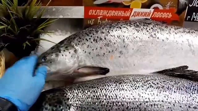 Форель и Лосось новый свежий привоз смотреть онлайн