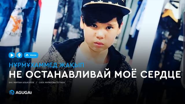 Нұрмұxаммед Жақып - Не останавливай моё сердце смотреть онлайн