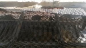 Устройство пола из просечно вытяжного листа (пвл). Навес 3 закончен