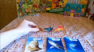 ХЭППИ БОКС ПОДВОДНЫЙ МИР