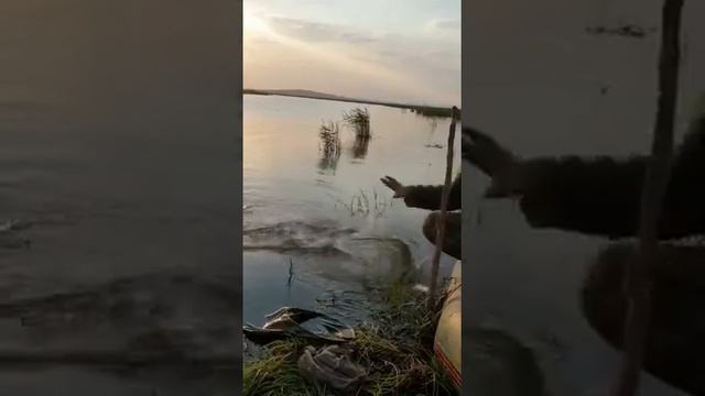 Ловля на резинку на реке смотреть онлайн