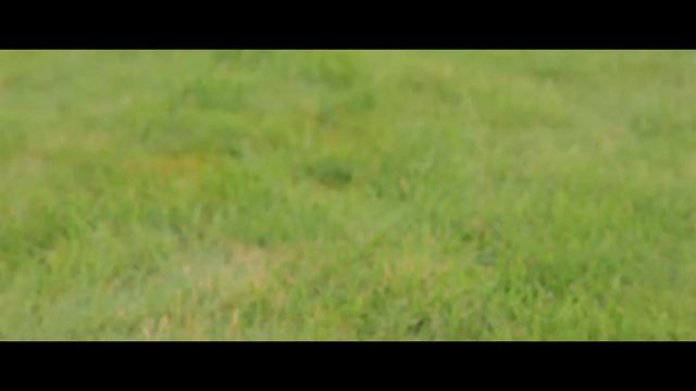 "Вечное сияние чистого разума".. Wedding day.. смотреть онлайн
