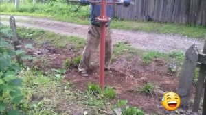 Простой  способ  закручивания  винтовых свай , вручную .