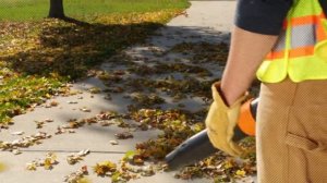 Souffleur professionnel STIHL BR 450 CE-F