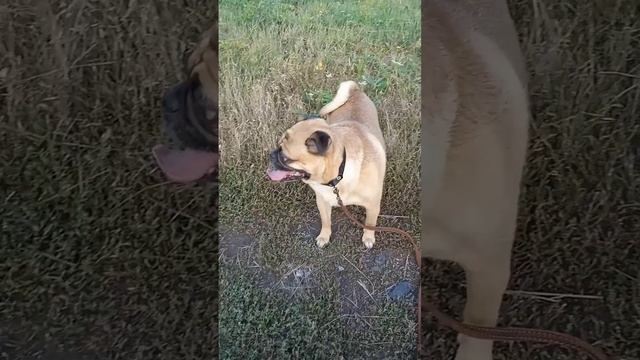 Lv_0_20231012121107.mp4