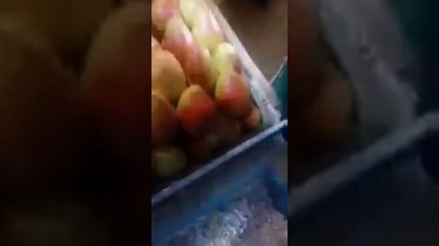 ОБМАН ПОКУПАТЕЛЕЙ ПОС. ВИТЯЗЕВО. АНАПА. ПРОВЕРКА ТОРГОВЫХ ТОЧЕК. смотреть онлайн