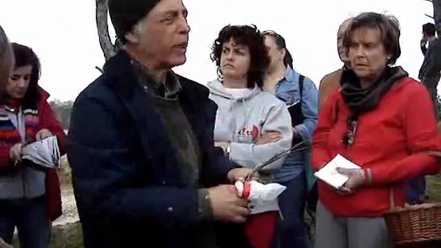 Erba cipollina смотреть онлайн