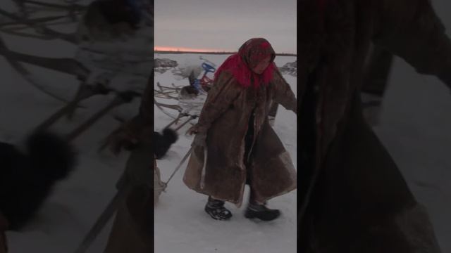 🤔 Новый год в тундре #рекомендации #янао #крайнийсевер смотреть онлайн